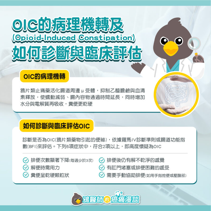 Opioid 鴉片類藥物 便秘