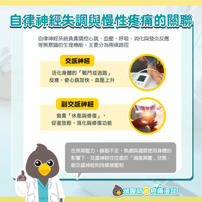 自律神經失調慢性疼痛控制原則 交感神經 副交感神經