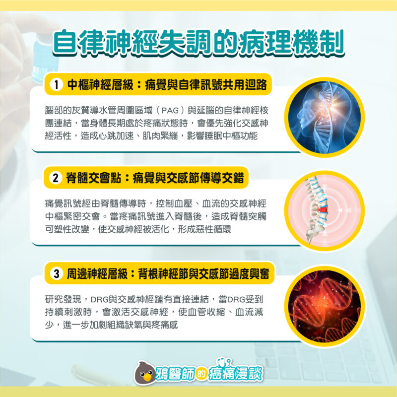 自律神經失調 原因
